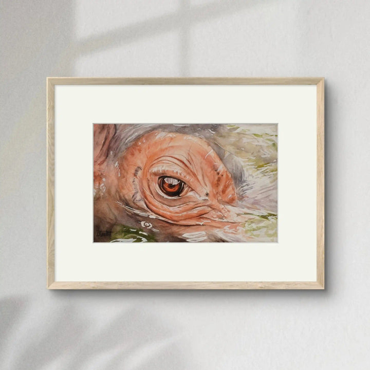 Miradas de la Naturaleza - Hipopótamo | Pintura en acuarela