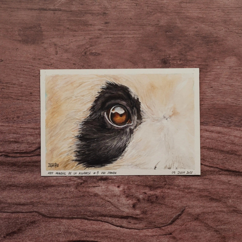 Miradas de la Naturaleza - Panda | Pintura en acuarela por Daniela Castro