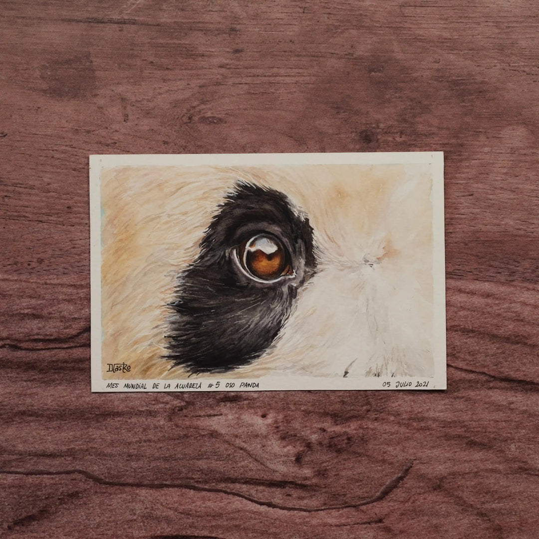 Miradas de la Naturaleza - Panda | Pintura en acuarela por Daniela Castro