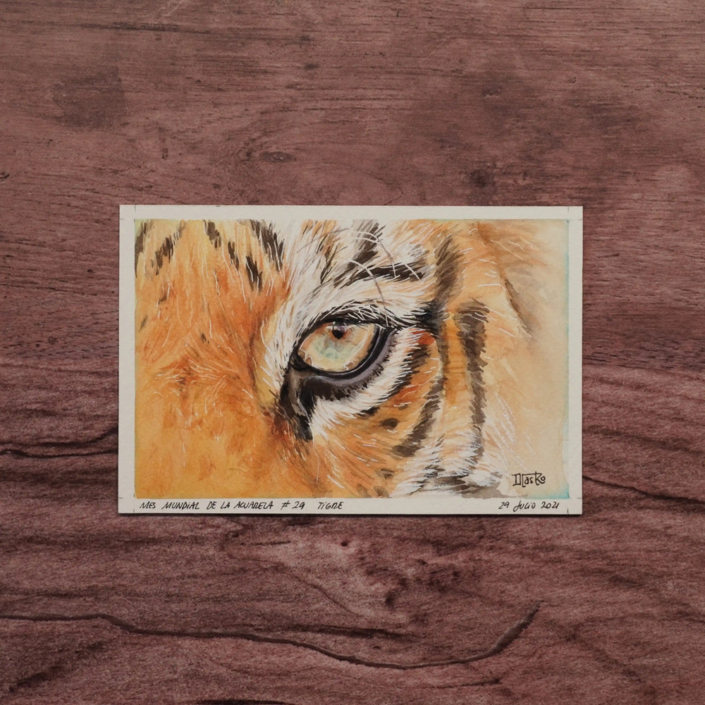 Miradas de la Naturaleza - Tigre | Pintura en acuarela por Daniela Castro