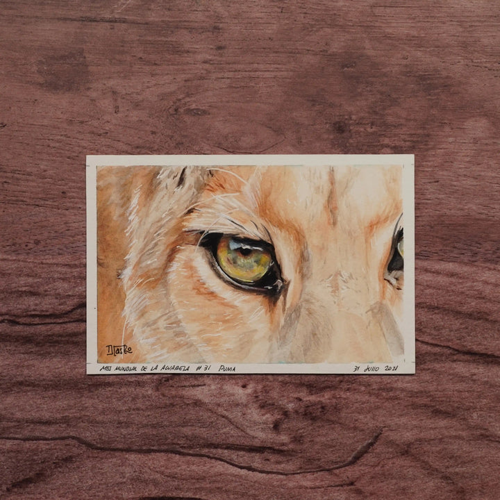 Miradas de la Naturaleza - Puma | Pintura en acuarela por Daniela Castro