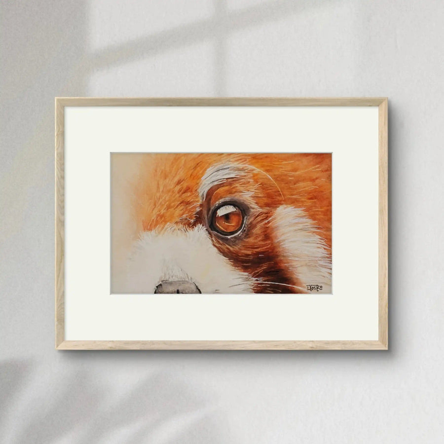 Miradas de la Naturaleza - Panda Rojo | Pintura en acuarela