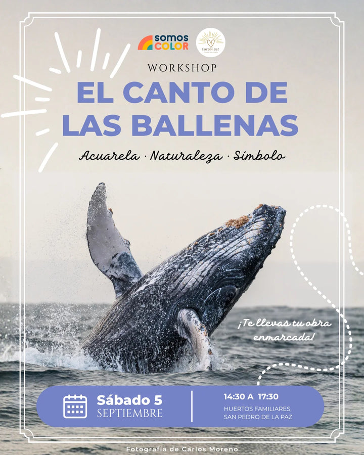 Workshop · El Canto de las Ballenas